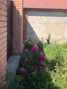 IMG_3662.jpeg