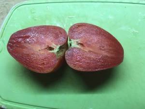 IMG_3756.thumb.JPG.313e41ca6eff6b48b8517f14a8c175d0.JPG