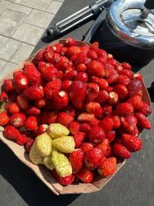 IMG_3961.jpeg