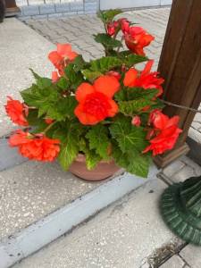 IMG_5756.jpeg