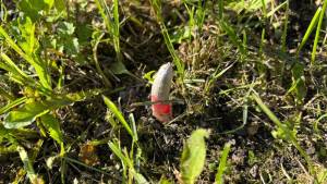 IMG_6149.jpeg