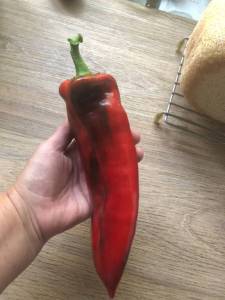 IMG_9071.jpeg