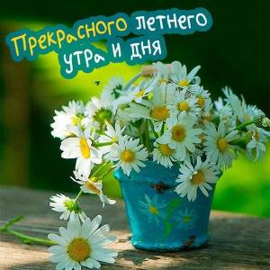 Prekrasnogo-letnego-utra-i-dnya.thumb.jpg.7bf0dcd967f8c0b1893967b505f619ee.jpg