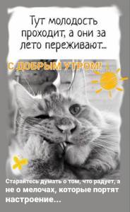 b7ad32916d7b87259743187680d5b6e5.thumb.jpg.38da884e95ddbd8f286d0f0b11ebc79e.jpg