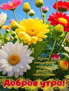 b92e3e63525834332a13a4cd1168f0bd.jpg