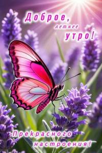 c4bd22637c2a60a684f2e4e4a3a9a07d.jpg
