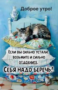 d6f4540d847cde2e9a0aadd3fad23605.jpg