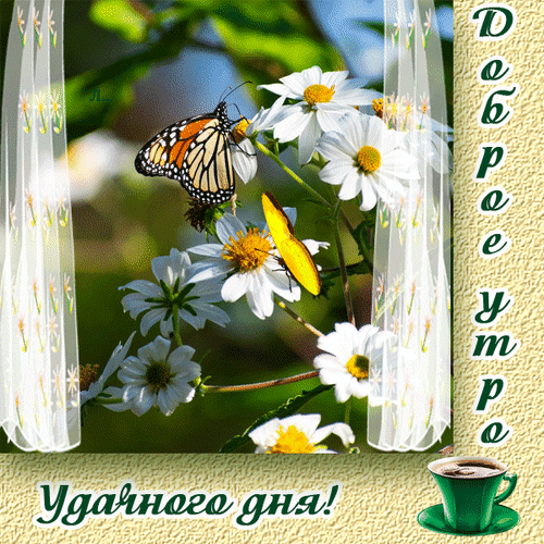 dobroe-utro-udachnogo-dnya.gif