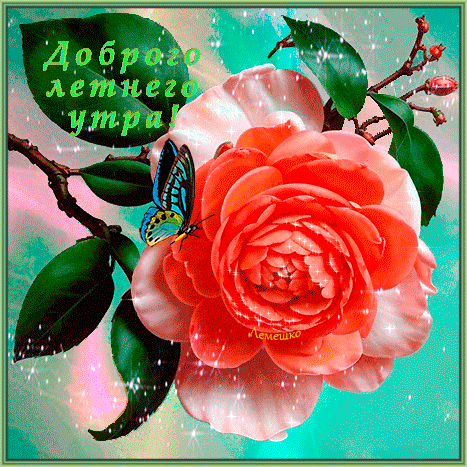 dobrogo-letnego-utra.gif