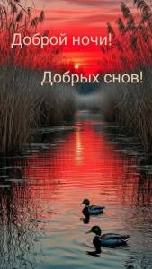 ea30515e55ca761488db824b1970a9c5.thumb.jpg.7dce074a26c7575f4fdb152dcbd0088f.jpg