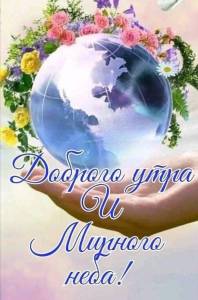 f6bd75f42dbd1e906b081cf1129a019d.jpg