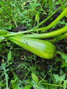 image-18-07-26-01-18.jpeg