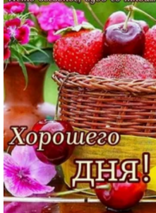 image.thumb.png.25e54413706d6d89a8843804935a0559.png