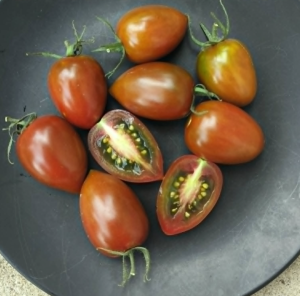 image.thumb.png.32cfa1e9f800807e579e1e8acbe5674e.png
