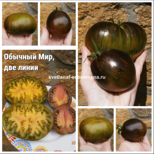 image.thumb.png.42beb5958df4f6f0a7707b6bc0cc4a39.png