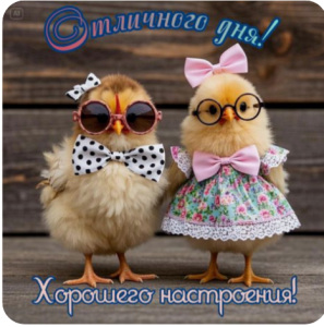 image.thumb.png.adfbde8ea295e78a061c43669e07819c.png
