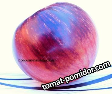 large.1740044514_1.jpg.3c82cff4ea3743d753380eae9cd7b0ff.jpg