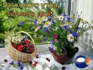 laskovogo-utra-t-plogo-dnya.thumb.jpg.e533ee4603ac586b0190bc69a524bebf.jpg