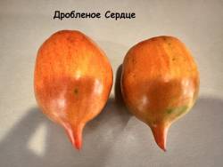 IMG_0510.jpeg