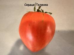 IMG_0512.jpeg