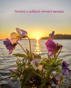 utradobrogo_ru_12738.thumb.jpg.e7207933e9622728d8492398b110c961.jpg