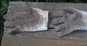0.thumb.JPG.ee521399000ad72c29836a47137f8cc0.JPG