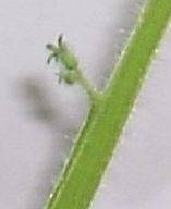 1.JPG.ffe6ae0b40cbb3cc6bb053ba8b6b3268.JPG