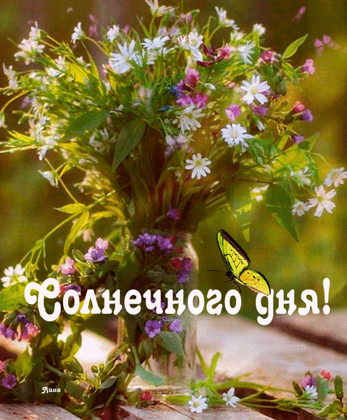 1070f5beee87cf040c8477abf98ff7cf.gif