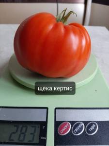 image (97).jpg