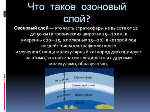 1579565011_3.thumb.jpg.cec7c17692f8d089b4f30a4c1afdc37f.jpg