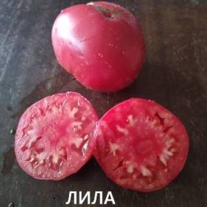1604265270_.thumb.jpg.3d9cfb09e1d333a52a99bb30782b2380.jpg