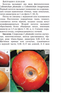 1652166406_.thumb.png.37aa07a987bc6c928f8f6e67cad7c5ce.png