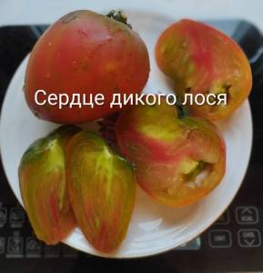 IMG_20260802_194051~2.jpg
