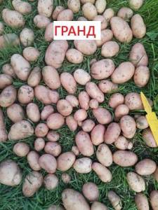1806814400_.thumb.jpg.7dafee421bdb546815292b8383353f18.jpg
