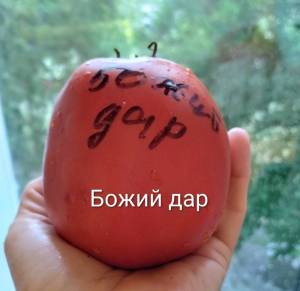 IMG_20260802_194557~2.jpg