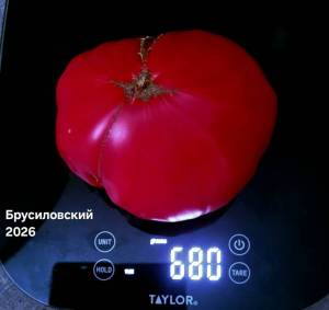 20260804_140731.jpg