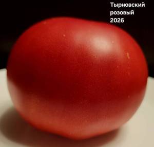 20260807_210056.jpg