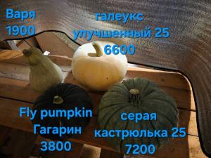 20260816_015839.thumb.jpg.d157dac57d3548f2f5dd5659adb949c3.jpg