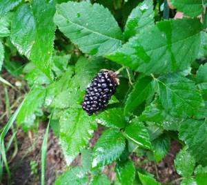 IMG_20240804_172013~3.jpg