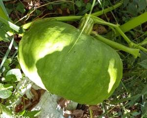 IMG_20260818_154901_7~2.jpg