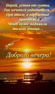 2042f7a9e3646aaf35065a75aece34d1.jpg
