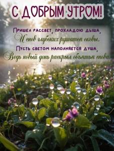 2554b45a4dd188fcd17d36e9f0a66696.jpg