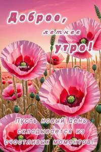 3aa472994f86bdbf32ccfb8a58adb674.jpg