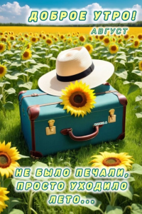 42bf0ae1987cbff6d69fe8ba6594a806.png