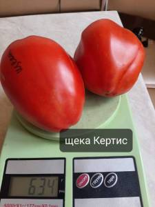 image (100).jpg