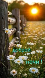 4676ba33d072f414dab3c0ae190f8912.thumb.jpg.be884f102db94fbfe6cf85bf060bbea1.jpg