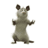 50707266.gif.1ae16715cf93ee1a6071aeb7761c7b0b.gif