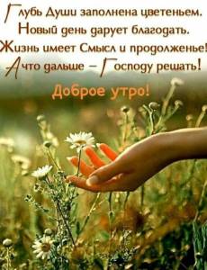 50aa82a903d7fc58a2df92af53ae927c.jpg
