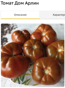 519113732_2026-08-2510_18_43.thumb.png.cb6d345b5ec0db8b4ac914c1662cd189.png