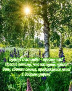 533c523a3830ebabc12c889c09a41832.jpg